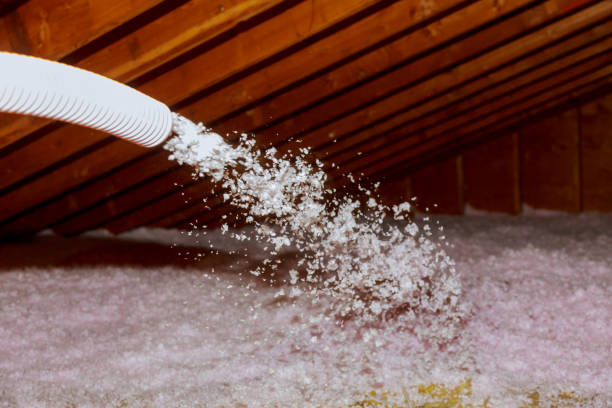 Best Specialized Insulation Services in Hernando, MS