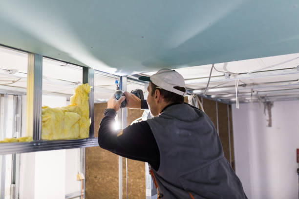 Best Spray Foam Insulation in Hernando, MS