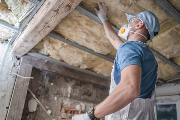 Best DIY Insulation Kits and Guidance in Hernando, MS