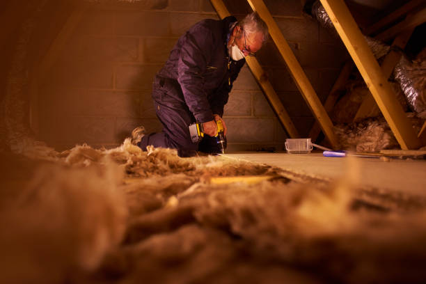 Best Commercial Insulation in Hernando, MS