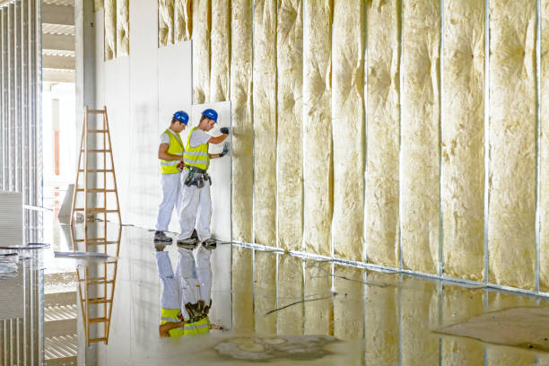 Best Blown-in Insulation in Hernando, MS